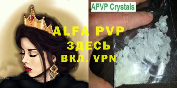 гидра Богданович
