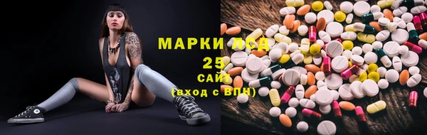 гидра Богданович