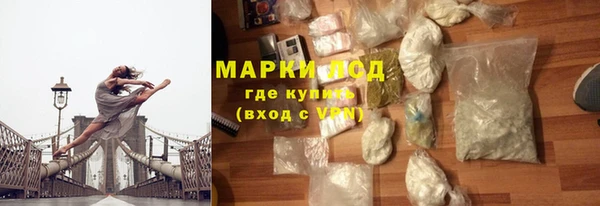 гидра Богданович