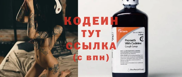 гидра Богданович