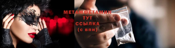 гидра Богданович