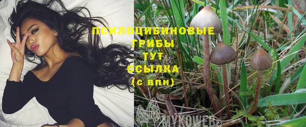 гидра Богданович