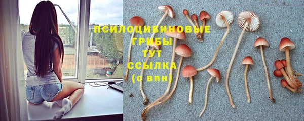 твердый Богородицк