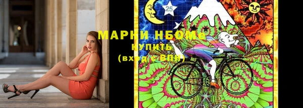 гидра Богданович
