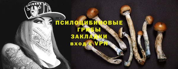 твердый Богородицк